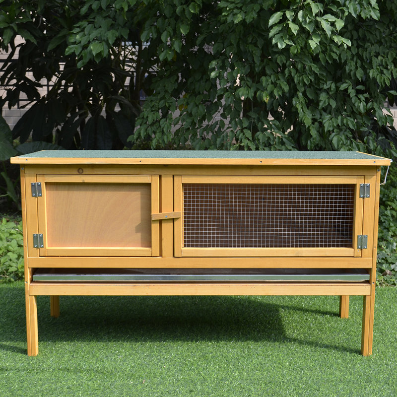 Archie & Oscar Dorthy 1 Story Raised Rabbit Hutch & Reviews Wayfair